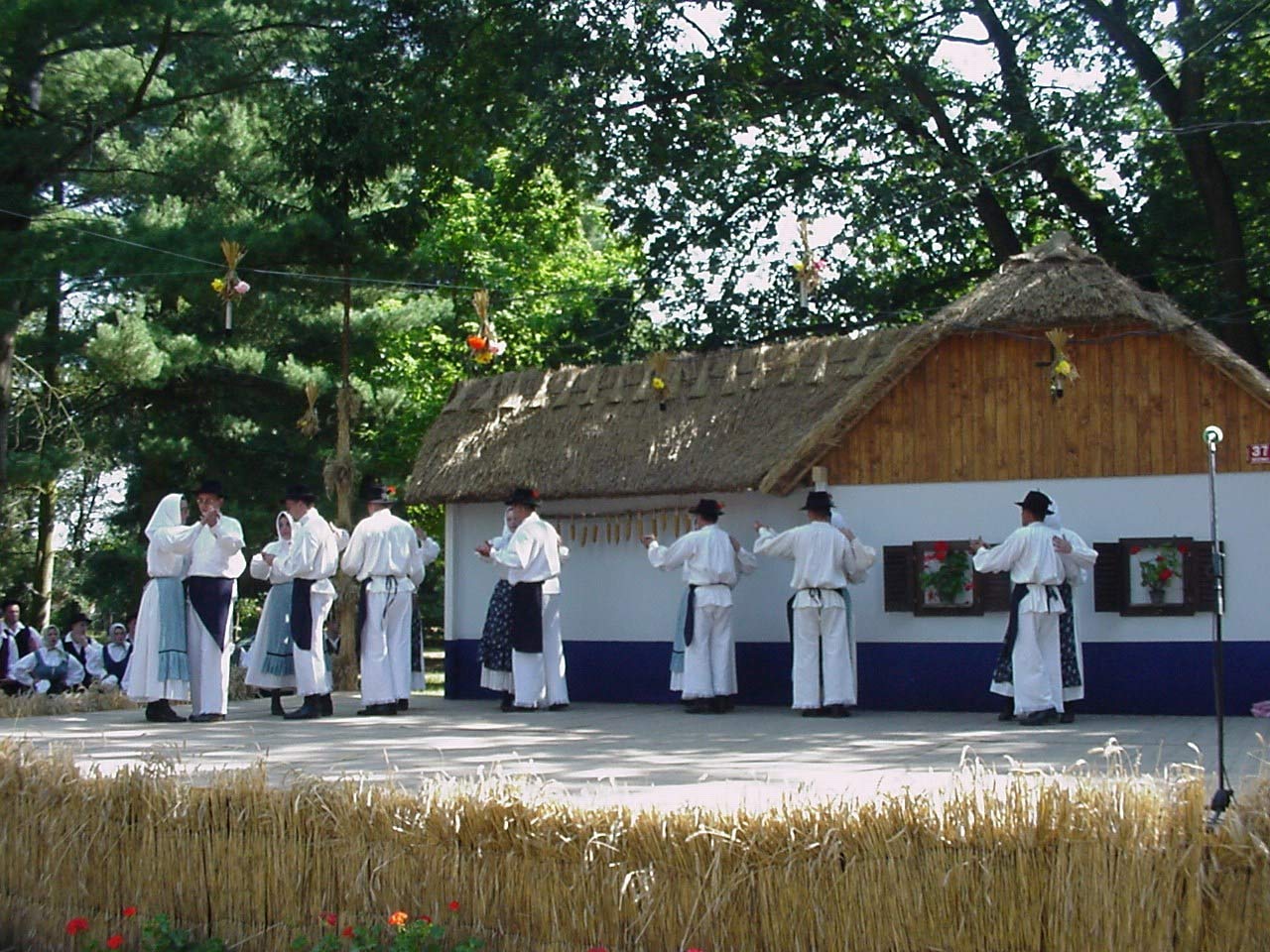 Folklorna skupina (2001)
